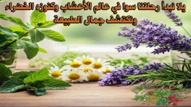 يلا نبدأ رحلتنا سوا في عالم الأعشاب وكنوزه الخضراء ونكتشف جمال الطبيعة