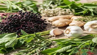 اعشاب طبيعية لدعم المناعة دليلك للحفاظ لدعم صحة جسمك