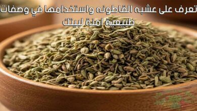 تعرف على عشبه القاطونه واستخدامها في وصفات طبيعية امنة لبيتك