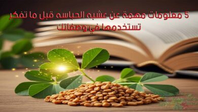 5 معلومات مهمة عن عشبه الحباسه قبل ما تفكر تستخدمها في وصفاتك