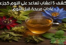 استكشف 5 اعشاب تساعد على النوم كجزء من عادات مريحة قبل النوم