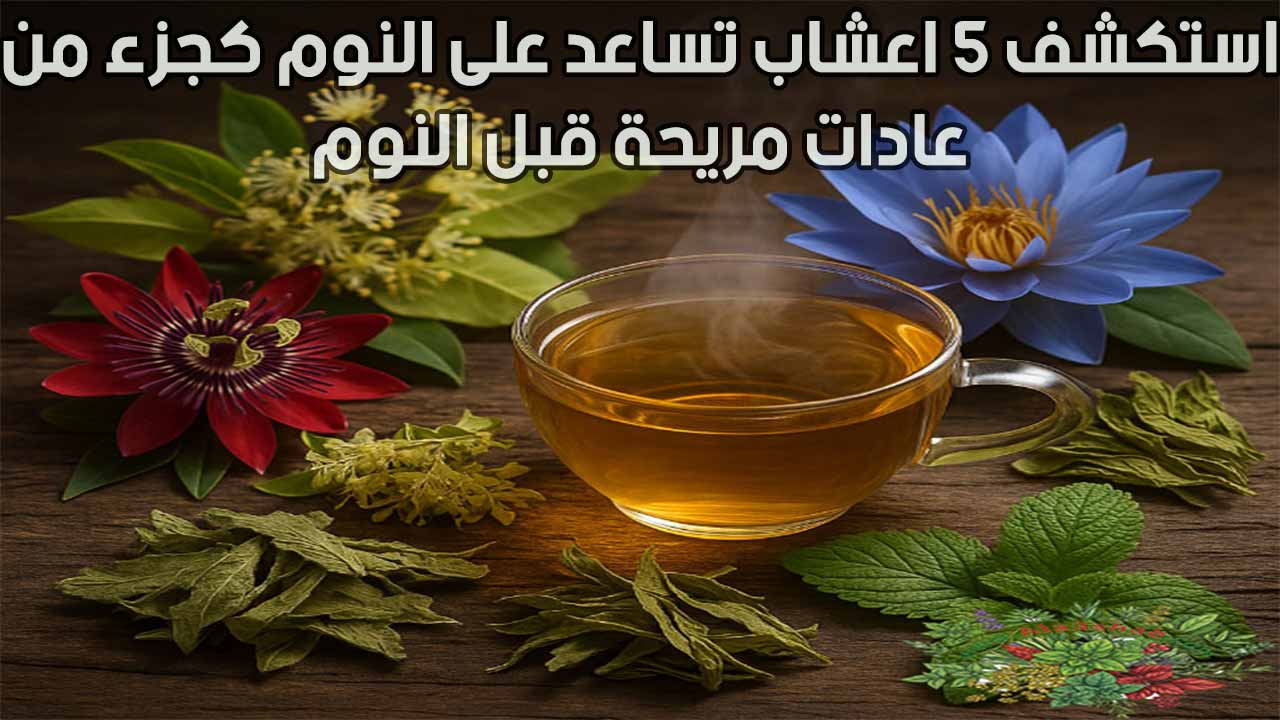 استكشف 5 اعشاب تساعد على النوم كجزء من عادات مريحة قبل النوم