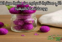 كل اللي محتاجة تعرفيه عن عشبة عين الغزال ووصفاتها الطبيعية