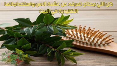 كل اللي محتاج تعرفه عن عشبة الاس واستخداماتها التقليدية في البيت