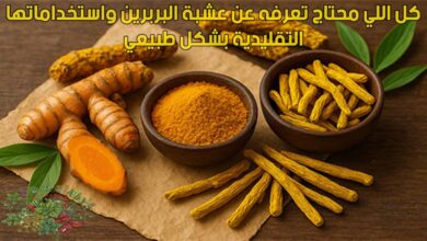 كل اللي محتاج تعرفه عن عشبة البربرين واستخداماتها التقليدية بشكل طبيعي