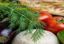 طريقة استخدام الشبت في الاكل ونكهته الهادية في وصفات مصرية معروفة