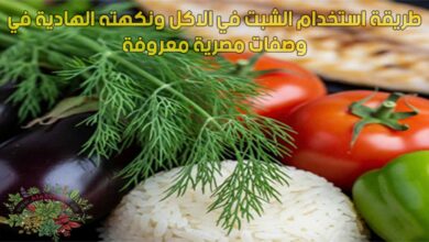 طريقة استخدام الشبت في الاكل ونكهته الهادية في وصفات مصرية معروفة