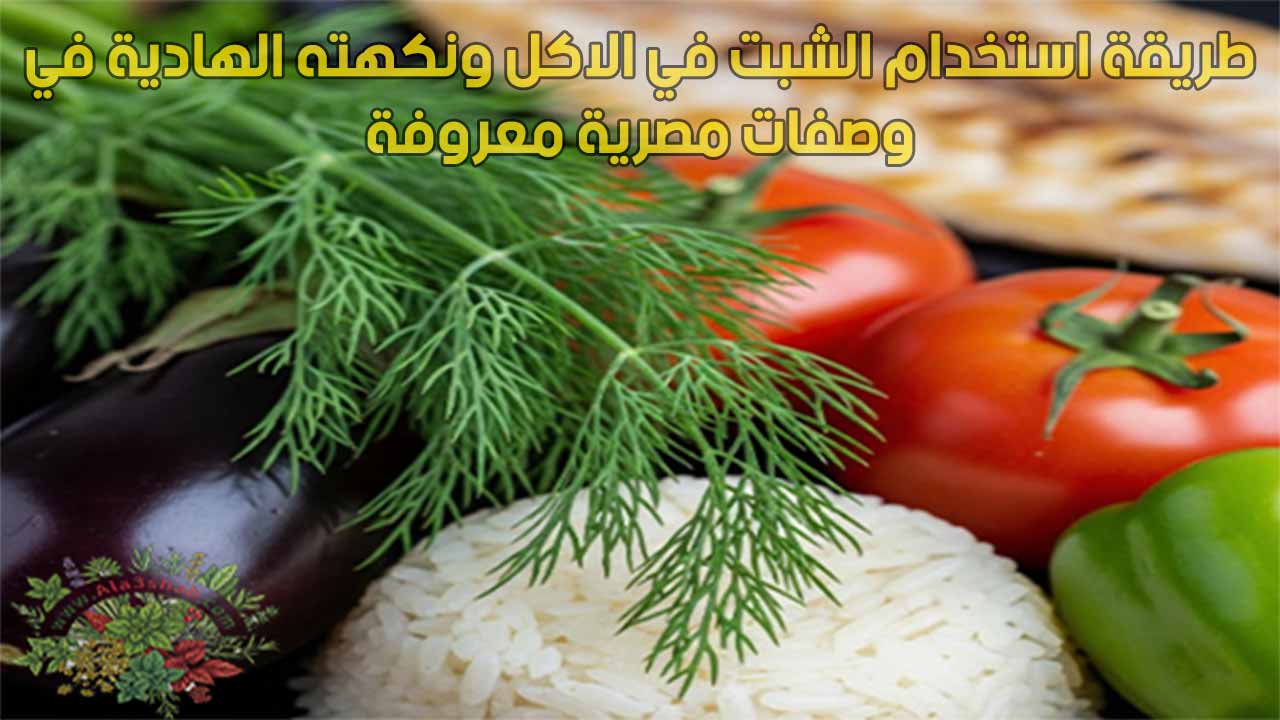 طريقة استخدام الشبت في الاكل ونكهته الهادية في وصفات مصرية معروفة