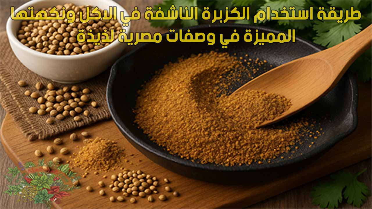 طريقة استخدام الكزبرة الناشفة في الاكل ونكهتها المميزة في وصفات مصرية لذيذة