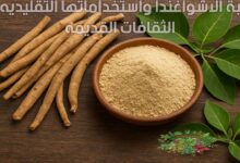 عشبة الاشواغندا واستخداماتها التقليديه في الثقافات القديمه