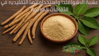 عشبة الاشواغندا واستخداماتها التقليديه في الثقافات القديمه