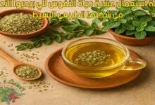 طريقة استعمال عشبة حياة النفوس للي بيحبوا الأعشاب في شكلها الطبيعي البسيط