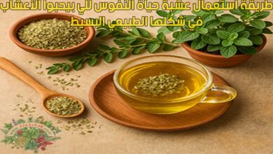 طريقة استعمال عشبة حياة النفوس للي بيحبوا الأعشاب في شكلها الطبيعي البسيط