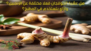 هل عشبة الخولنجان فعلا مختلفة عن الزنجبيل؟ وازاي بتستخدم في المطبخ؟