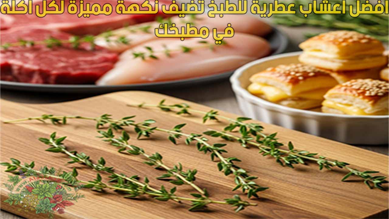 افضل اعشاب عطرية للطبخ تضيف نكهة مميزة لكل اكلة في مطبخك