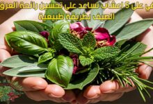 تعرفي على 5 اعشاب تساعد على تحسين رائحة العرق في الصيف بطريقة طبيعية