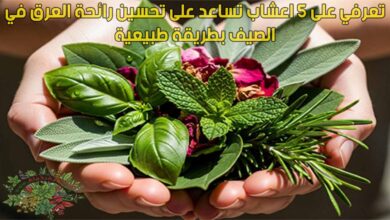 تعرفي على 5 اعشاب تساعد على تحسين رائحة العرق في الصيف بطريقة طبيعية