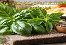 طريقة استخدام الريحان في الاكل والفرق بين الريحان العادي والريحان الاسيوي