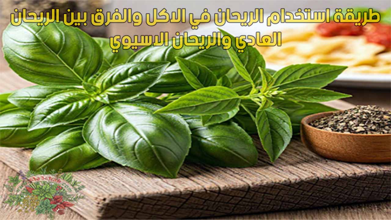 طريقة استخدام الريحان في الاكل والفرق بين الريحان العادي والريحان الاسيوي