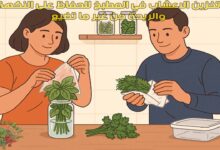 تخزين الاعشاب في المطبخ للحفاظ على النكهة والريحة من غير ما تضيع
