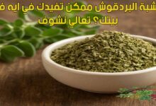 عشبة البردقوش ممكن تفيدك في ايه في بيتك؟ تعالي نشوف