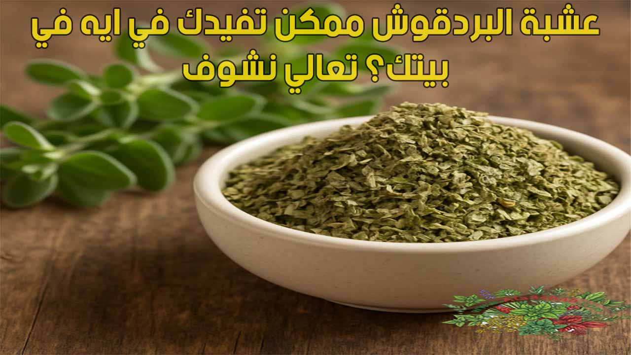 عشبة البردقوش ممكن تفيدك في ايه في بيتك؟ تعالي نشوف