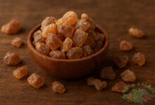 كل ما تريد معرفته عن أسماء عشبة المرة وأنواعها وفوائدها