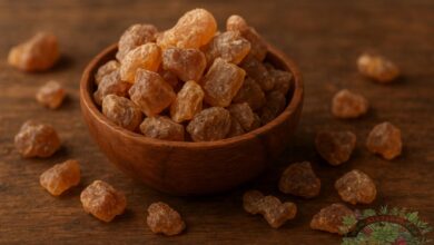 كل ما تريد معرفته عن أسماء عشبة المرة وأنواعها وفوائدها