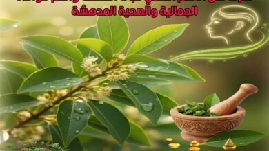 تعرف على الاسم العلمي لنبات الخصلف وأهم فوائده الجمالية والصحية المدهشة