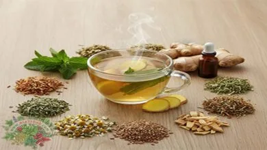 الأعشاب المساعدة للهضم 7 أسرار طبيعية لبطن مرتاحة وهضم سليم طول الوقت