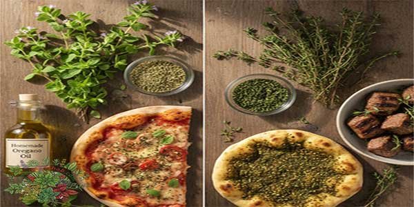 الفرق بين الاوريجانو والزعتر