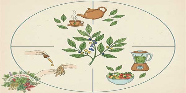 طرق استخدام عشبة تسكرا