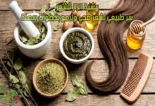 عشبة الزاز للشعر: سر طبيعي لشعر صحي ولامع بخطوات سهلة