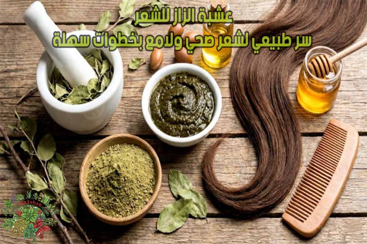 عشبة الزاز للشعر: سر طبيعي لشعر صحي ولامع بخطوات سهلة
